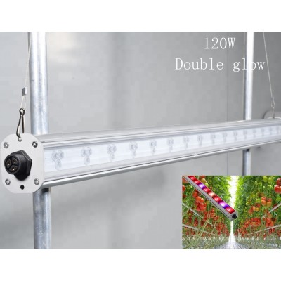 2ft 3tf 4ft grow bar full spectrum IP65 LED grow light bar for vegetable cultivating