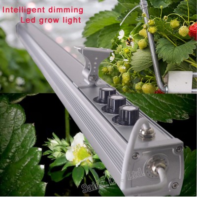 120CM Shenzhen intelligent LED Grow Light Bar Hydroponics,Horticulture,Agricultural Greenhouse,Farm Used Grow Light Bar